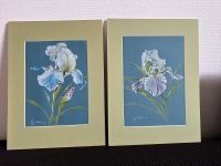 Zeichnungen Kreide mit Passepartout Blumen Iris, 30x40 cm Niedersachsen - Nordstemmen Vorschau