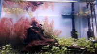 Nano Weißglas Aquarium + LED Beleuchtung dimmbar Nordrhein-Westfalen - Herten Vorschau