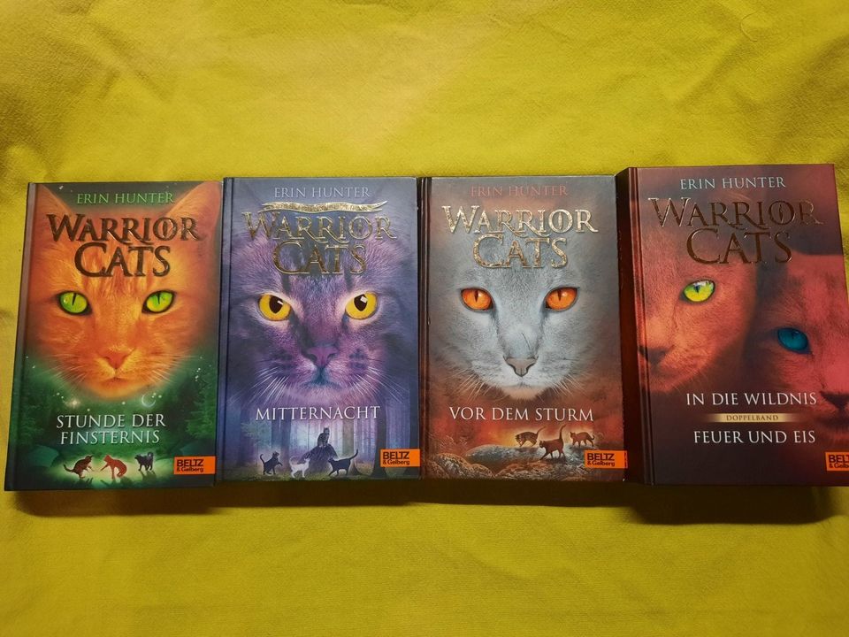 4 Bücher der Serie - Warrior Cats - Katzen in Plettenberg