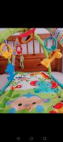 Fisher price Spielbogen Spieldecke Baby Hessen - Karben Vorschau