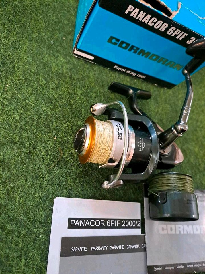 Cormoran Panacor 6PiF 3000 Angelrolle + E-Spule & OVP Angeln Carp in Bad Bentheim