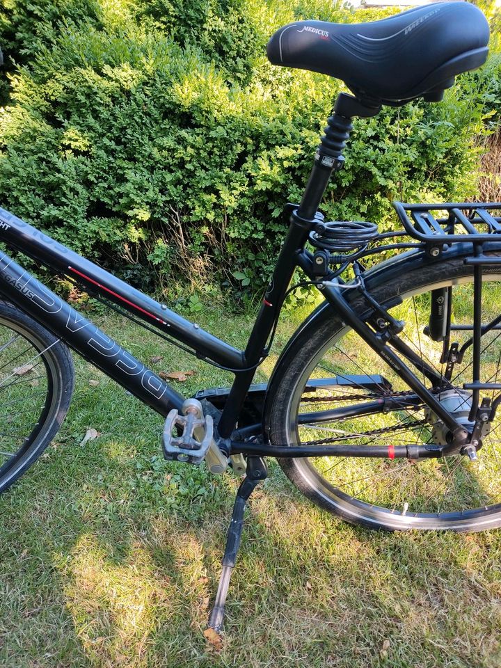 Pegasus 28 Zoll Fahrrad extra leicht in Schleswig