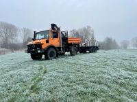 Unimog 427 1250 Kran Tausch Schleswig-Holstein - Borsfleth Vorschau