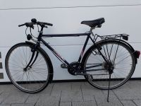 Pegasus Herrenrad 28 Zoll 21 Gang Shimano Baden-Württemberg - Salach Vorschau