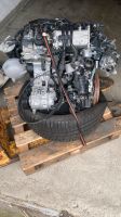 VW Golf 7 GTD Motor 184 PS 2.0 TDI 03N023A 80H8H Essen - Altenessen Vorschau