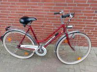 Oldtimer Damenrad Fahrrad 28 Zoll mit Rücktrittbremse Niedersachsen - Seevetal Vorschau