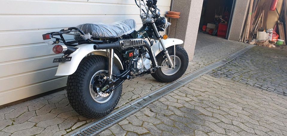 Skyteam trex 125cc neu Vorführer in Schöneck