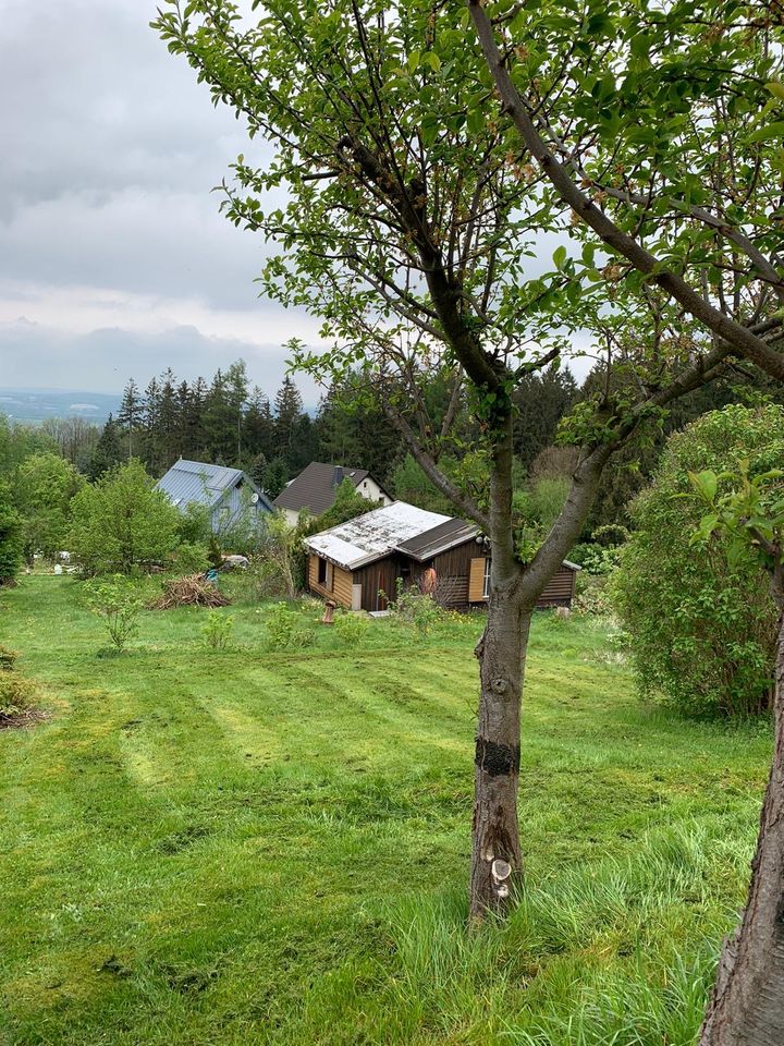 Kleingarten mit Häuschen in Auerbach (Vogtland)