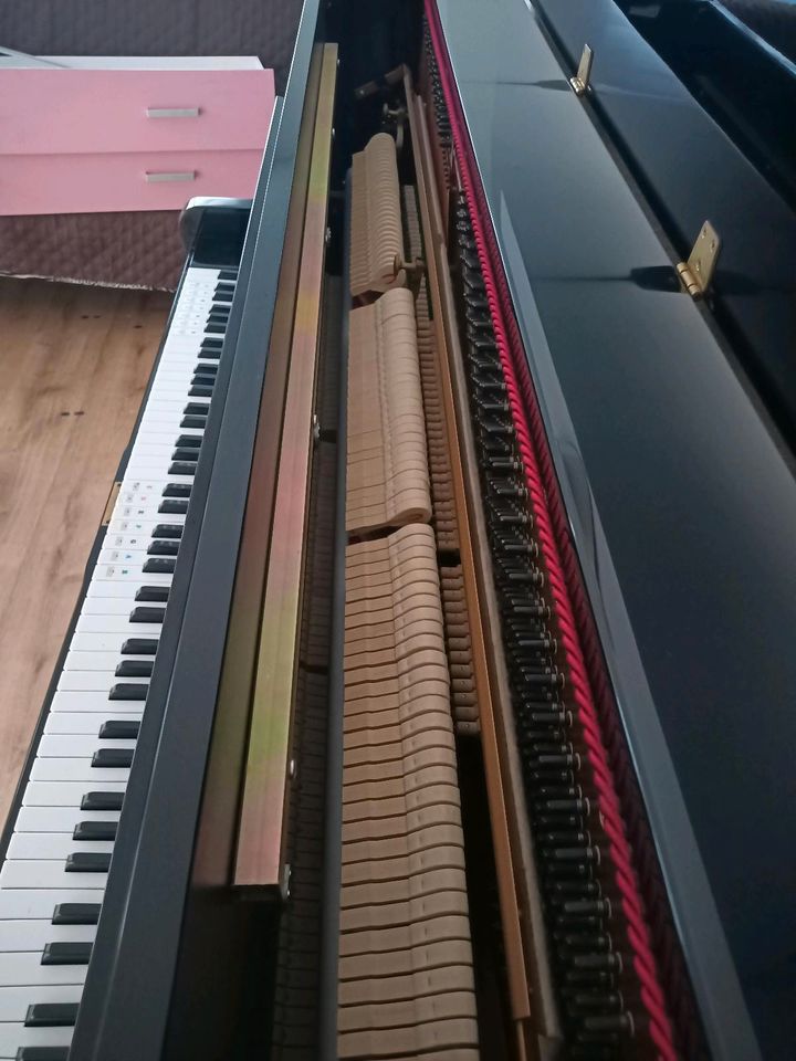 Klavier RAMEAU in Todtnau