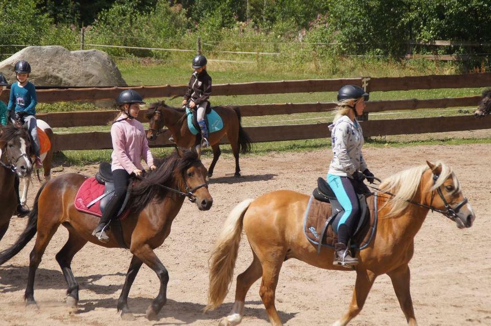 Ponyführen auf dem Reiterhof Finkenmühle in Weißenstadt