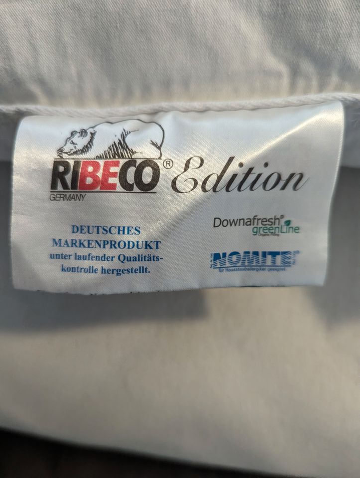 Ribeco Kopfkissen 80 x 80 cm Feder und Daune 1000 gr. wie neu in Hameln