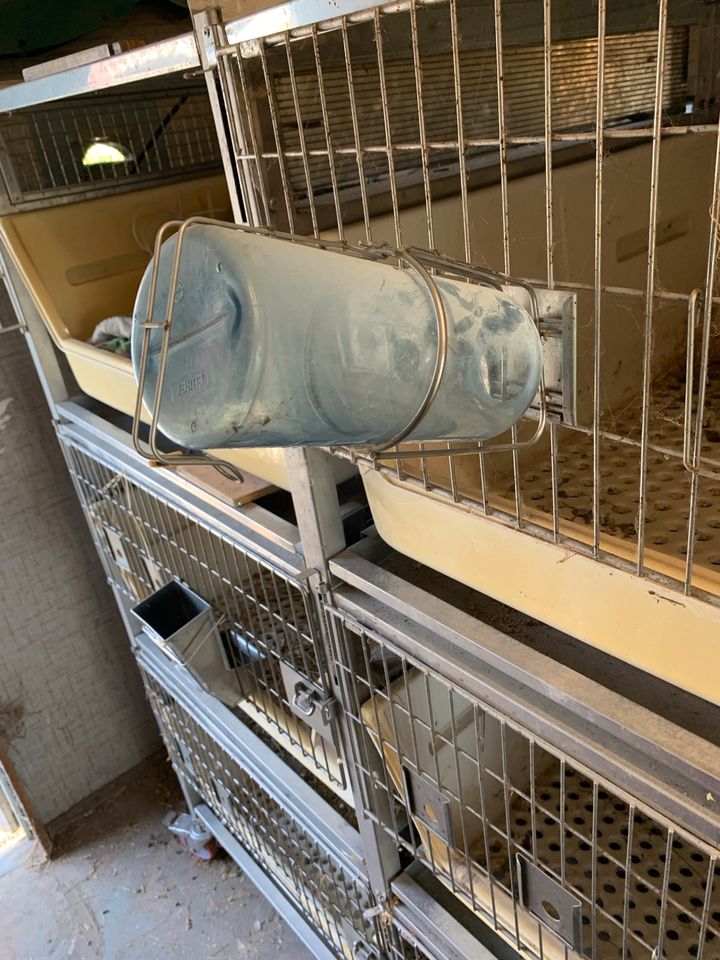 Kaninchenstall Laborkäfig Käfig für Kleintiere in Behrenhoff