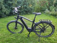 elektro rad e-bike, Flyer Gotour 6 5.10 Thüringen - Waltershausen Vorschau