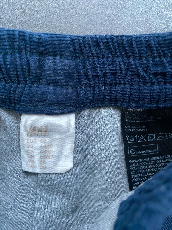 H&M Cordhose Gr. 68 dunkelblau gefüttert in Bohmte