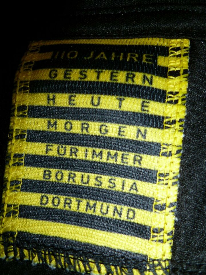 PUMA Borussia DORTMUND Trikot , 2 Stück in Nürnberg (Mittelfr)