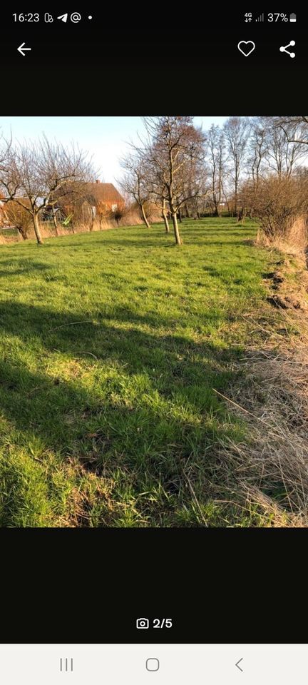 Baugrundstück in Hagermarsch in Hage