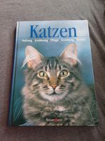 Buch über Katzen Thüringen - Zeulenroda Vorschau