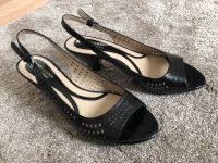 Damenschuhe Naturalizer N5 Sandalen Riemchen 40 6,5 Nordrhein-Westfalen - Blomberg Vorschau