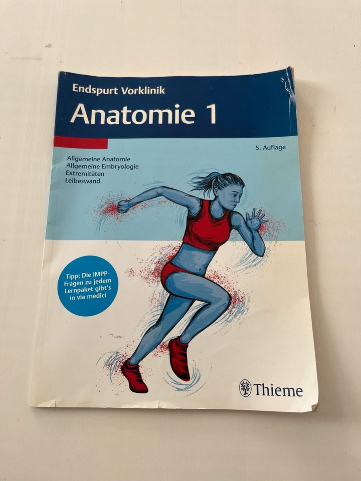 Endspurt Anatomie 1 in Lübeck