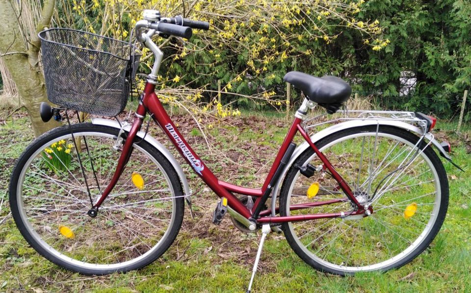 Damen Fahrrad von Deichgraf, 28 Zoll in Hollingstedt b Delve Holst