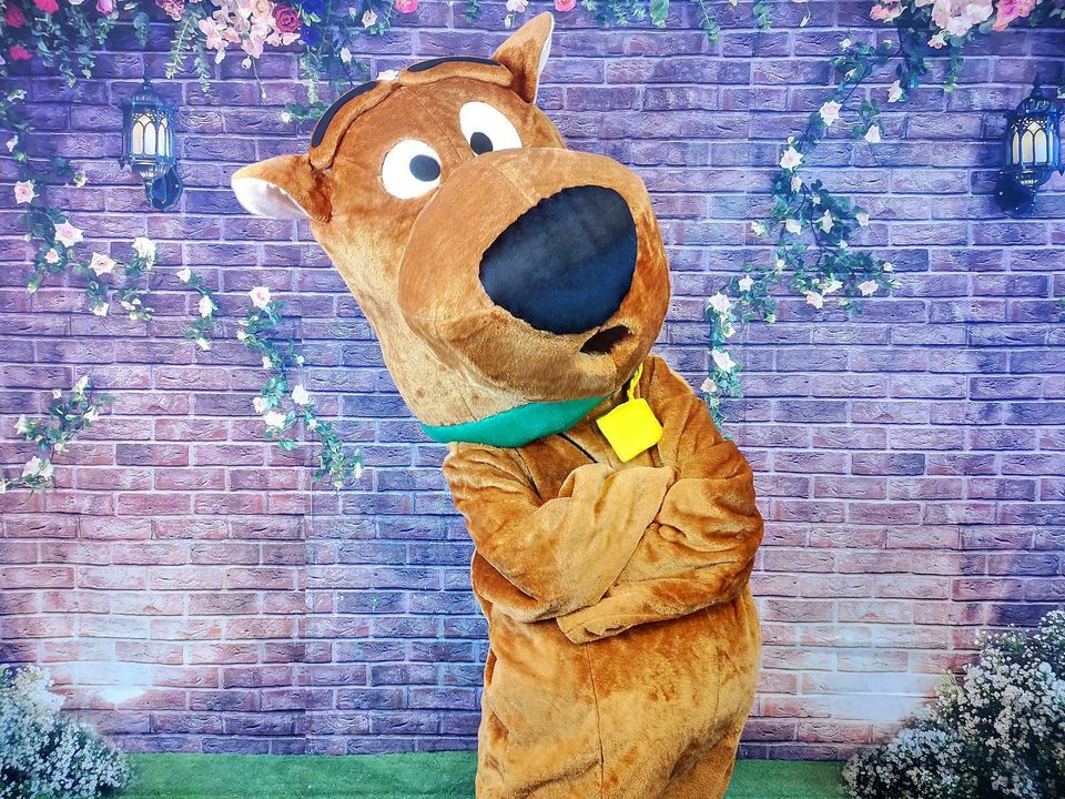 Scooby Doo Maskottchen Kostüm Geburtstag Party Fasching Hochzeit in Berlin