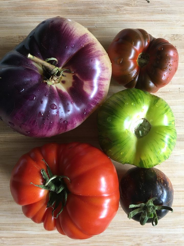 Tomatensamen in München