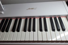 E- Piano, Neu, Direktimport aus China! in Bohmstedt