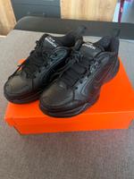Nike Turnschuhe 39 Sachsen - Coswig Vorschau