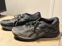 ASICS Metarun Damen, Laufschuhe,  Grösse:  42 Hamburg-Mitte - Hamburg St. Georg Vorschau