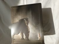 King Kong limitiertes Steelbook 4K Ultra HD Bluray Stuttgart - Feuerbach Vorschau