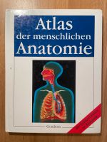 Atlas der menschlichen Anatomie Sachsen - Zwickau Vorschau