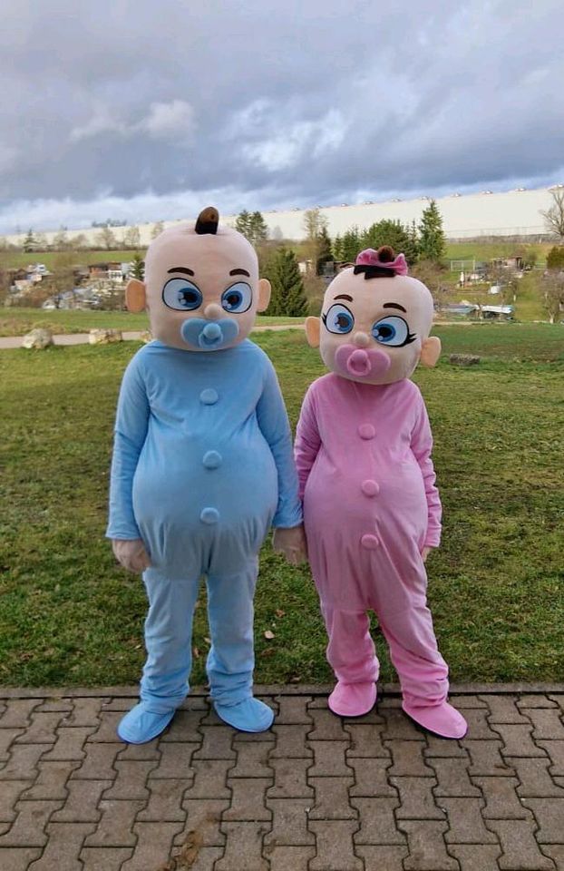 Maskottchen Babys/Kostüme  Gender Reveal Party.Verleih nur 35 €. in Ehingen (Donau)
