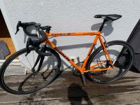 Bianchi Rennrad 54cm Campagnolo orange München - Bogenhausen Vorschau