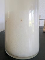 Wasserkefir Hessen - Reichelsheim (Odenwald) Vorschau