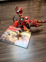 Lego Ninjago Mutter der Drachen 70653 Hessen - Bad Hersfeld Vorschau