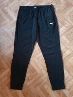 Puma Jogging Hose XXL Mecklenburg-Vorpommern - Eggesin Vorschau