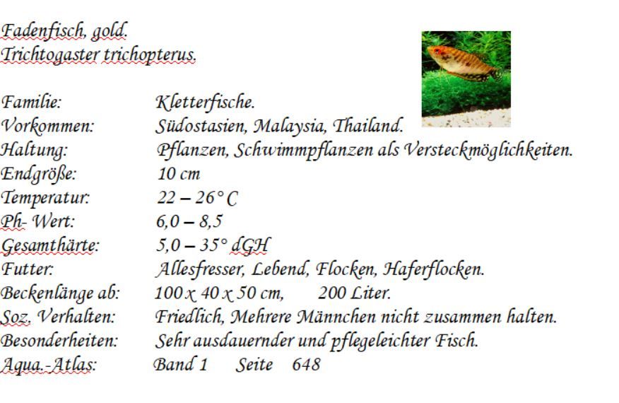 Mosaikfadenfisch, Marmorfadenfisch, Goldfadenfisch in Hohenroth bei Bad Neustadt a d Saale