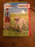 Schleich 42478 Spaziergang mit Labrador NEU Güstrow - Landkreis - Wardow Vorschau