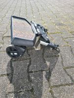 Buggyboard Nordrhein-Westfalen - Hamm Vorschau