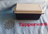 Tupperware Brot-Maxx Junior blau A193 NEU OVP Rarität !!! Niedersachsen - Lengede Vorschau