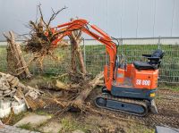 Wurzeln entfernen, Garten Rodung etc. Pool Nordrhein-Westfalen - Willich Vorschau