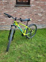 Viper Mountainbike Aachen - Preuswald Vorschau