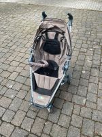 Buggy von TFK Münster (Westfalen) - Albachten Vorschau