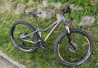 Giant LIV Tempt 2 LTD, Limited Edition! Top MTB! Baden-Württemberg - Fellbach Vorschau