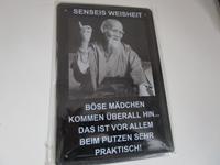 Männerspruch, böse Mädchen, Senseis Weisheit, Blechschild Hessen - Hünfelden Vorschau