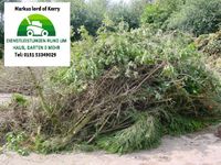 Entsorgung/ Grüngut /Gartenabfälle Bayern - Bad Windsheim Vorschau