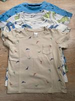 Shirts Set Junge Größe 98/104 Topolino H&M Sachsen - Zwickau Vorschau