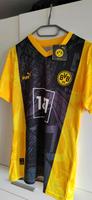 BVB Puma Dortmund Box Edition Fußball Trikot NEU Niedersachsen - Königslutter am Elm Vorschau
