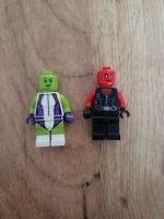 Lego She Hulk und Rot Hulk ohne Kopfbedeckung Niedersachsen - Lehrte Vorschau