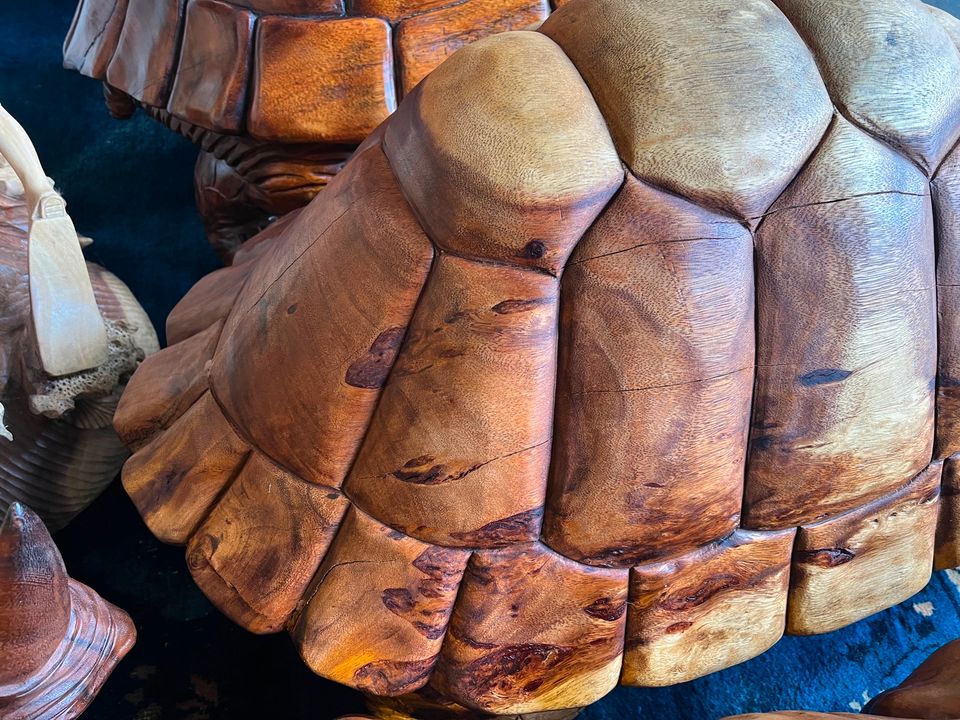 Riesige 100cm Schildkröte Holzschildkröte Holz Landschildkröte in Essen